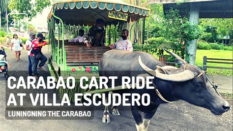 VILLA ESCUDERO DAY TOUR with Carabao Cart Ride and Bamboo fro.